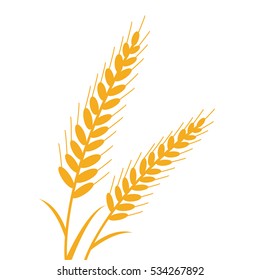 A gold Wheat illustration isolated in a white background