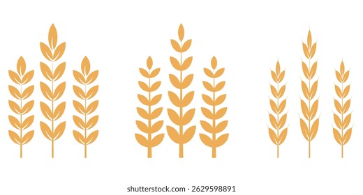  Gold wheat silhouette collection. Wheat or rice icon symbol.