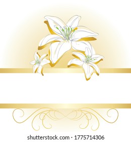 Gold and white elegant banner with lily flowers