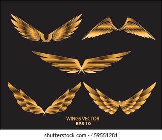 Gold wings eagle bird logo set on black background vector illustration.