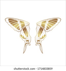 Alas de oro. Mariposa vectorial metálica aislada en blanco. Ilustración de silueta de alas. Diseño elegante dibujado por Fairy Hand.