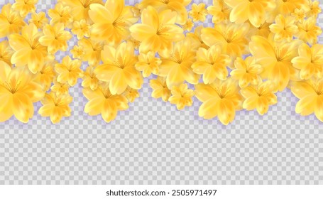 Gold yellow petals trail falling from above. Stock vector illustration isolated on transparent background. banner template.