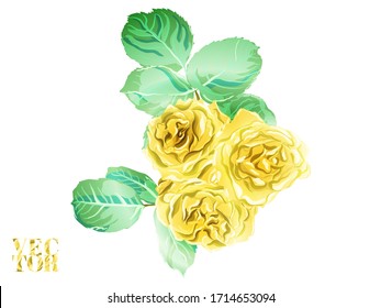 Gold Yellow Rose and Leaves Elements. Botanic Rose Flower Swimwear Print. Hand Drawn Isolated Design. Girly Hawaiian Peony Background.  Summer Peonies Leaves and Buds Sleepwear Texture. 