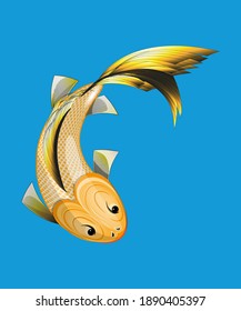 A gold-colored fish swims in the water.