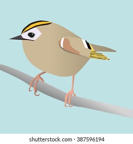 Goldcrest