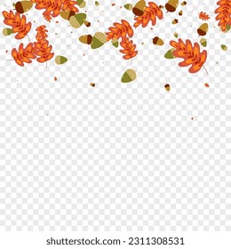 Golden Acorn Background Transparent Vector. Herb November Illustration. Orange Leaves. Elm Design. Brown Leaf Symbol.