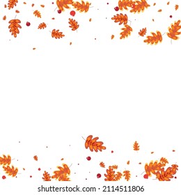 Golden Acorn Background White Vector. Plant Decorative Illustration. Red Oak. Nature Design. Gold Leaves School.