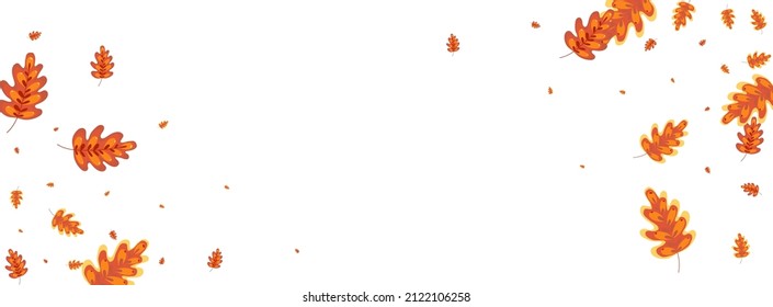 Golden Acorn Background White Vector. Leaves October Texture. Yellow Plant. Dead Design. Brown Oak Label.
