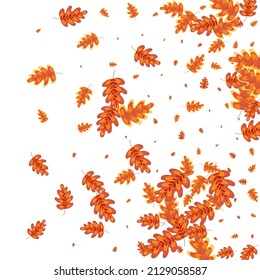 Goldener Acorn-Hintergrund, weißer Vektorgrafik. Pflanzliche Oktober-Illustration. Orangefarbene Eiche. Plakatset. Gelbes Leaf-Symbol.