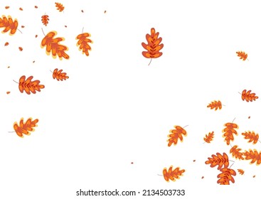 Vector blanco de fondo de maíz dorado. Marco de etiqueta de planta. Roble marrón. Ilustración de Gradación. El oro deja material.