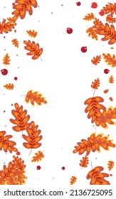 Golden Acorn Background White Vector. Leaves Label Texture. Red Oak. November Design. Gold Plant Image.