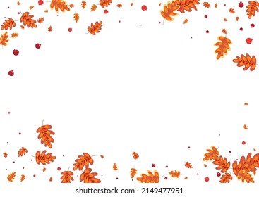 Golden Acorn Background White Vector. Leaves Forest Texture. Yellow Plant. Wallpaper Illustration. Brown Oak Decoration.