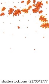 Golden Acorn Background White Vector. Leaves Label Frame. Brown Leaf. Nature Design. Green Plant Forest.