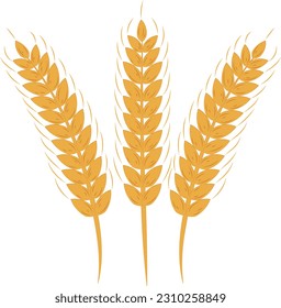 Golden Agriculture Wheat Ears Frame Illustration Graphic Element Art Card