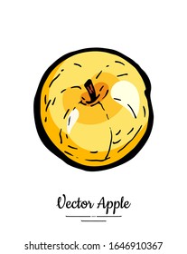Golden apple vector isolated. Yellow fruit hand drawn illustration. Trendy food vegetarian menu logo icon. Whole apple. Sweet organic fruit illustration. Vector natural apple isolated white background