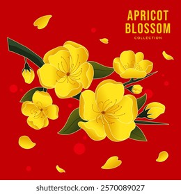 Golden apricot flower branch. Hoa mai, the flowers of traditional Vietnamese new year, golden blossom. Vector illustration.