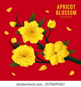 Golden apricot flower branch. Hoa mai, the flowers of traditional Vietnamese new year, realistic golden blossom. Vector illustration.