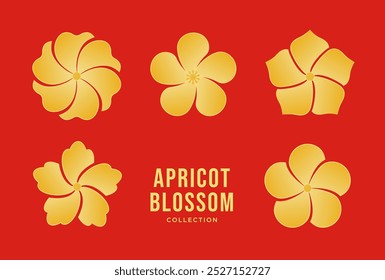 Golden apricot flower set. Hoa mai, the flowers of traditional Vietnamese new year, golden blossom. Vector illustration.