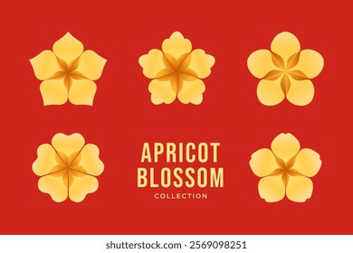 Golden apricot flower set. Hoa mai, the flowers of traditional Vietnamese new year, golden cherry blossom. Vector illustration.