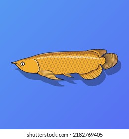 Golden arowana fish vector illustration