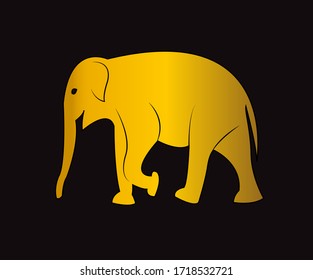 Golden Asian Elephant isolated on black background. Vector. Asian Elephant Icon. Digitally drawn illustration.