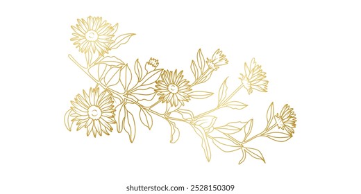 A arte da linha das flores do Aster Dourado é isolada sobre fundo branco. Elementos de design floral de luxo Aster para convite, casamento, papel de parede, modelo de impressão, ilustração vetorial