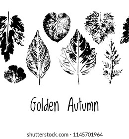 Golden Autumn border. Leaf fall. Prints of different leaves. Black on white.