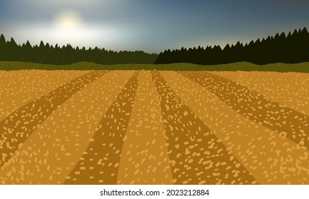 Golden Autumn Field Forest Distance Stock Vector (Royalty Free ...