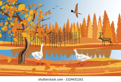 Golden autumn in the forest landscape, pretty wildlife landscape vector