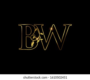 Golden B, W and BW Luxury Letter Logo Icon 