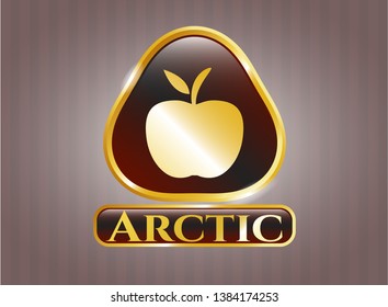  Golden badge with apple icon and Arctic text inside
