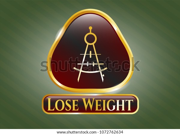   Golden badge with drawing compass icon and Lose\
Weight text inside