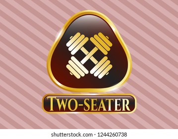  Golden badge with dumbbell icon and Two-seater text inside
