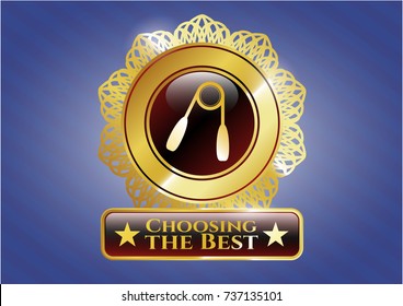  Golden badge with hand gripper icon and Choosing the Best text inside