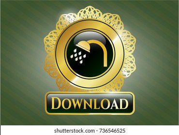  Golden badge with shower icon and Download text inside