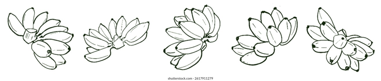 Golden Banana Energy – Natural Abundance Lineart Set under Taurus Sun