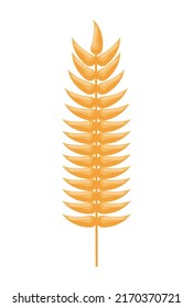 golden barley ear nature icon