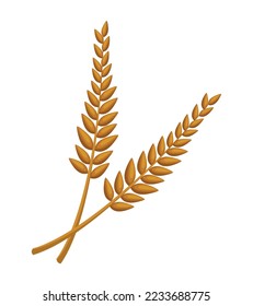 golden barley spikes nature icon