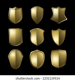 Juego de vectores de elementos de la escudo barroco