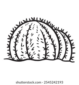 Golden barrel cactus illustration drawing isolated on square white background. Simple flat outlined black and white cartoon art styled drawing.