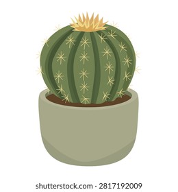 Golden Barrel Cactus in Pot Flat Vector Illustration