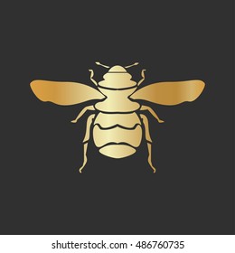Golden bee isolated vector illustration