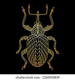 A golden beetle in a linear style. Linear vector illustration of a golden beetle.