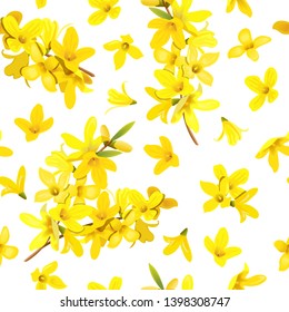 Golden Bell seamless pattern Forsythia suspensa, Easter tree, spring branch with blossoming yellow flowers. Vector illustration. Spring decor europaea blooming in garden bush for prints, posters, card