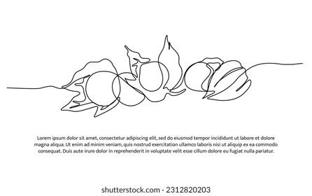 La baya dorada tiene un diseño de línea continua. Concepto de diseño de símbolos de frutas. Elementos decorativos dibujados sobre un fondo blanco.