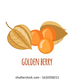 Golden Berry or Physalis vector icon in flat style isolated on white background. Superfood Golden Berry or Physalis fruit. Organic healthy dietary supplement. Vector illustration.
