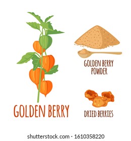 Golden Berry or Physalis vector icon in flat style isolated on white background. Superfood Golden Berry or Physalis fruit. Organic healthy dietary supplement. Vector illustration.