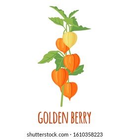 Golden Berry or Physalis vector icon in flat style isolated on white background. Superfood Golden Berry or Physalis fruit. Organic healthy dietary supplement. Vector illustration.