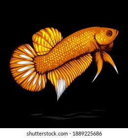 Golden Betta Fish Vector isolated on Blank Background