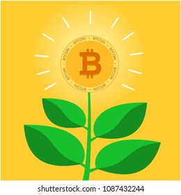 Golden Bitcoin Concept Tree Background Vector Image
